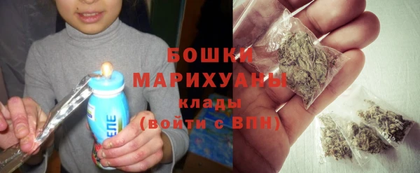 шишки Заводоуковск