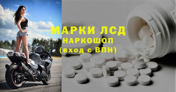 шишки Заводоуковск