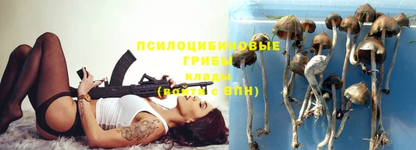 шишки Заводоуковск