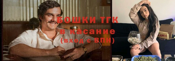 шишки Заводоуковск