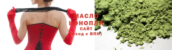 шишки Заводоуковск
