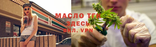шишки Заводоуковск