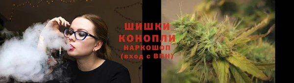 шишки Заводоуковск