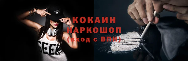шишки Заводоуковск