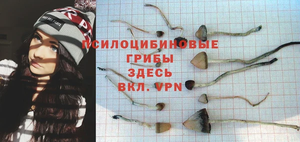 трава Заволжск