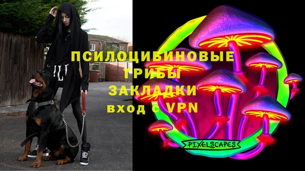 шишки Заводоуковск
