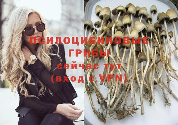 дмт Заволжье