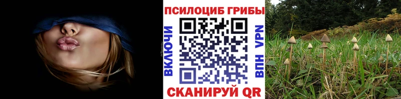 Купить где Уссурийск Псилоцибиновые грибы MAGIC MUSHROOMS